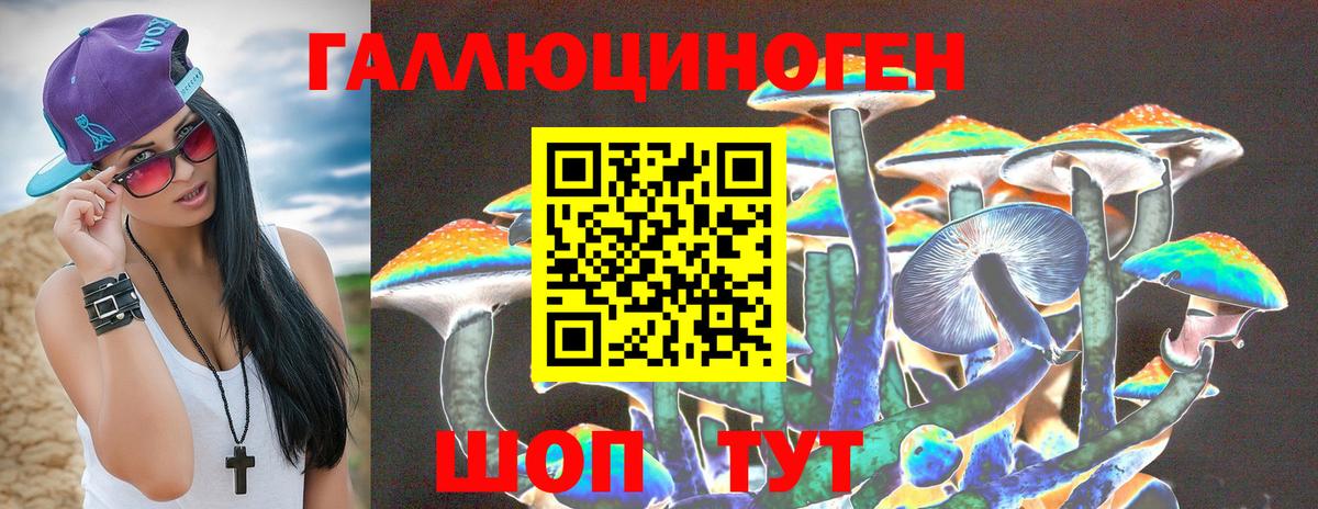 Псилоцибиновые грибы мицелий Вологда