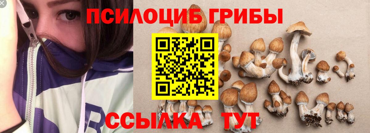 Галлюциногенные грибы Psilocybine cubensis  Галлюциногенные грибы мицелий  Вологда  Вход с VPN 